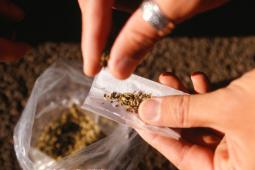 Paterna organitza un taller de prevenció per a lluitar contra consum juvenil de marihuana