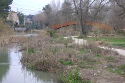 Sagredo demana als portaveus del Senat el “sí” a les esmenes presentades als pressupostos per a la conservació del Parc Fluvial del Túria