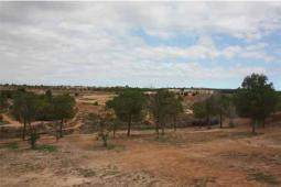 Terrenos de la Zona Franca