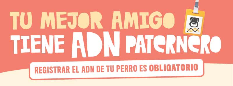 Campaña ADN Canino Paterna